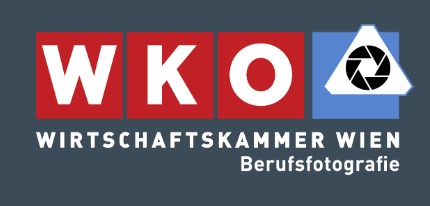 Logo der Innung für Berufsfotografie